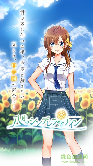 八月的九人灰姑娘手游