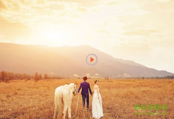 开贝调色软件x8