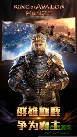 阿瓦隆之王果盘版/