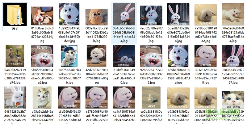 爱宠大机密兔子表情包