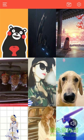 王者视频桌面手机版