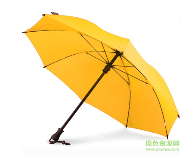 粘贴图片.png 伞多多app