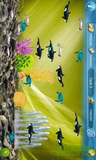 欢乐水族箱游戏