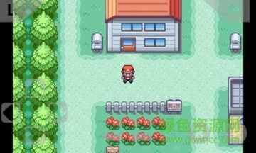 口袋妖怪叶绿正式版