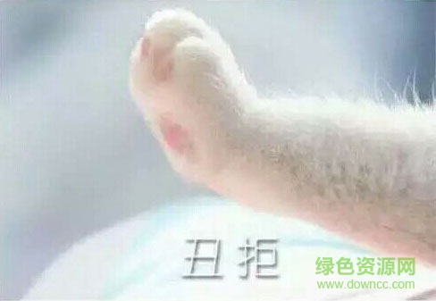 丑拒猫爪图
