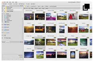 acdsee 20 pro汉化版 acdsee 20 pro 正式版