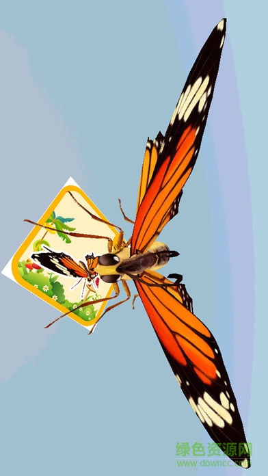 小博士动物园软件 小博士动物园软件