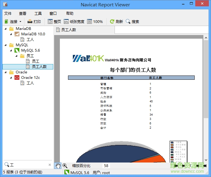 navicat report viewer