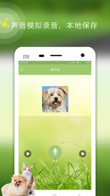 人狗人猫交流器app