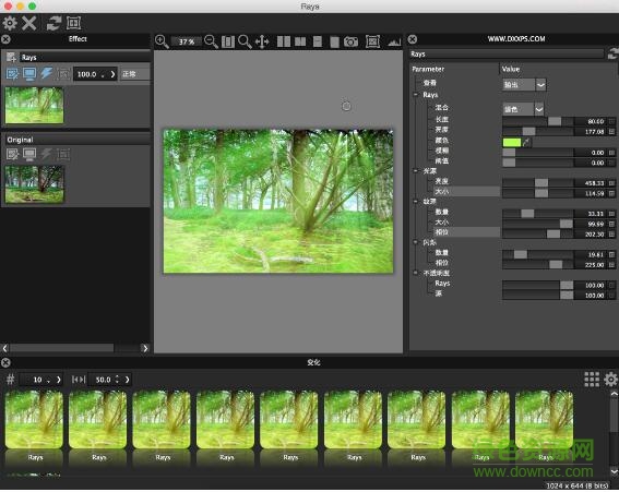 dft rays 2.0 v11 mac