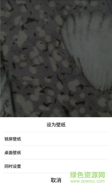 一键透明屏幕app