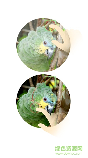 努比亚z17mini相机apk