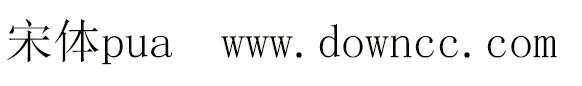 宋体-pua字体