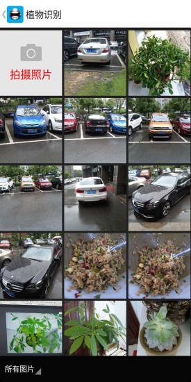 智能图像识别安卓版
