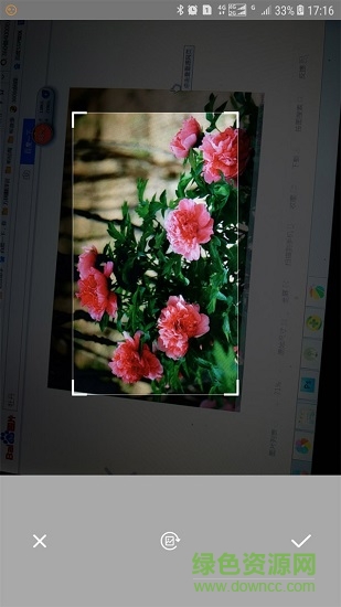 万能拍照识物 万能拍照识物app