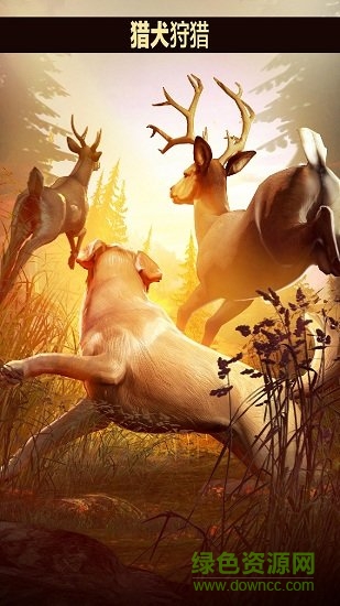 猎鹿人2018最新版 猎鹿人2018手机版下载
