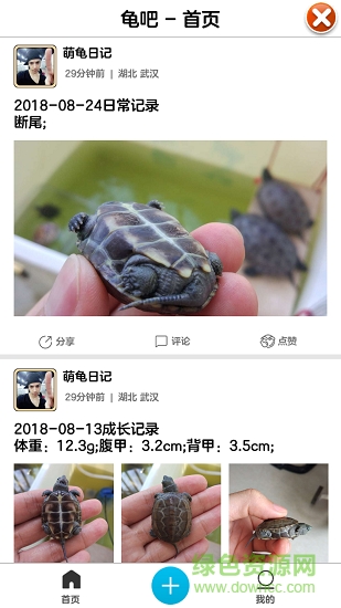 萌龟日记手机版 萌龟日记app下载