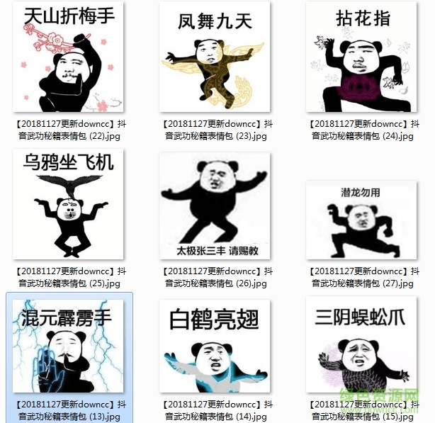 抖音武功秘籍表情包 熊猫武功秘籍表情包