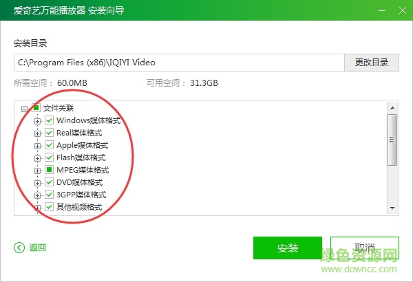爱奇艺万能播放器pc版