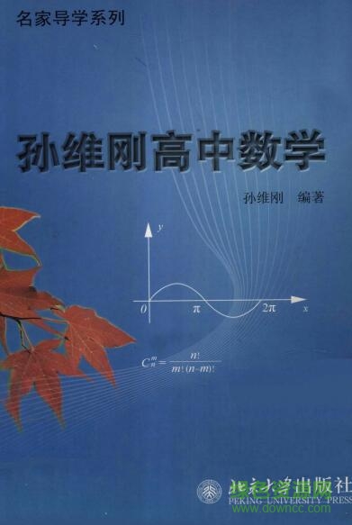 孙维刚高中数学pdf