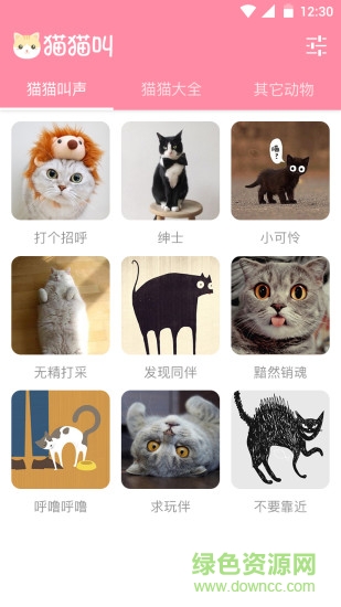 逗猫神器app 逗猫神器app