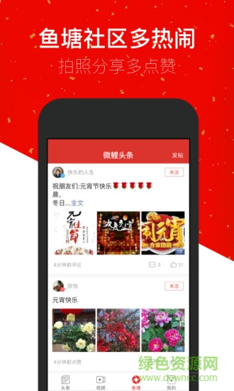微鲤头条app