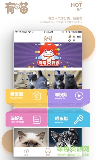 有喵云养猫 有喵云养猫app