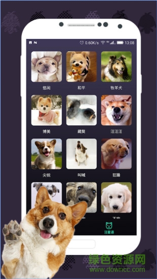 人猫翻译器手机版