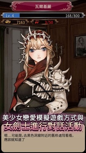 女剑士的秘密日记