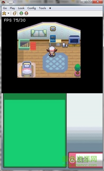 口袋妖怪心金493版