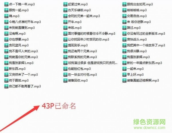 我是渣渣辉语音包