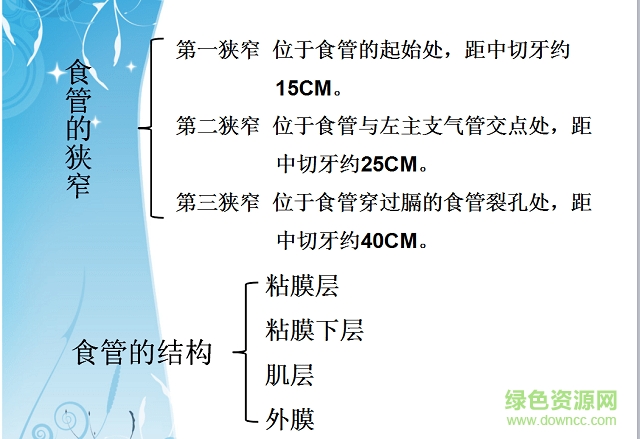食管癌的护理查房ppt