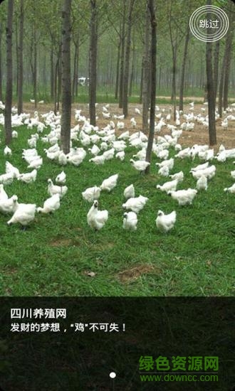 四川养殖 四川养殖app