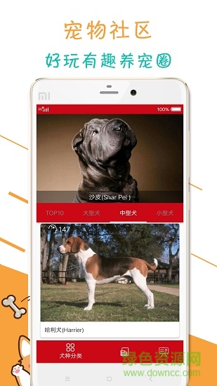 宠物狗狗百科app下载