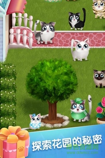口袋猫咪最新版下载
