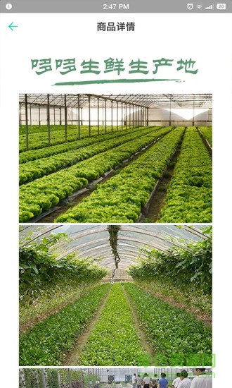 哆哆生鲜安卓版下载