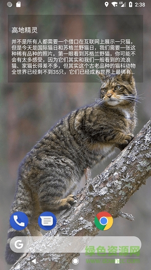 starth必应壁纸app下载