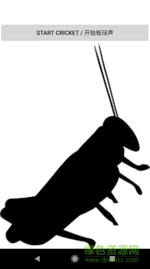 板球之声 板球之声