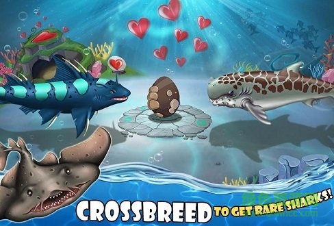 鲨鱼世界 鲨鱼世界安卓版