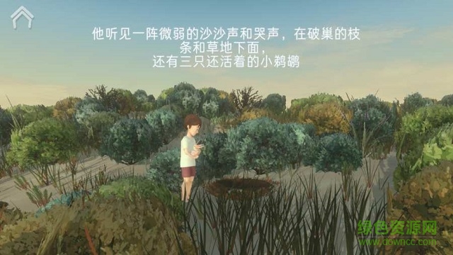 风暴男孩 风暴男孩下载