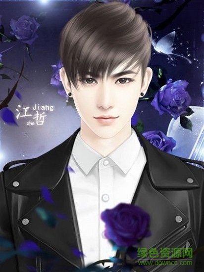 我家儿子初长成游戏