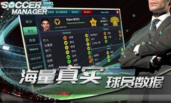 梦幻足球世界pc版