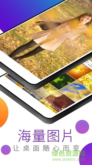 动态高清壁纸app下载