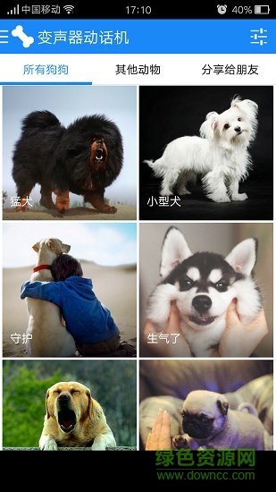 猫狗变声器app下载