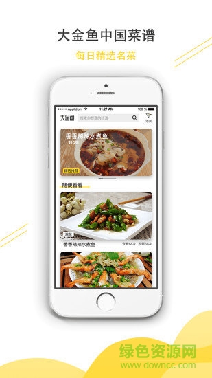 大金鱼安卓版下载