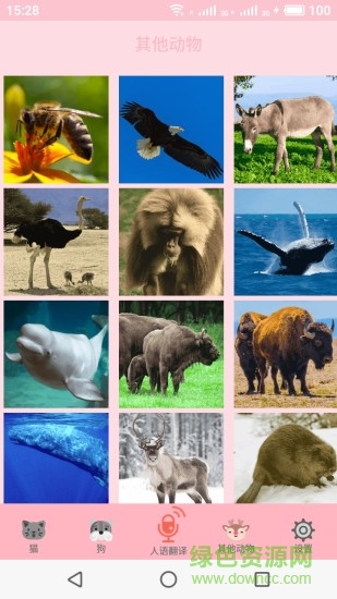 喵喵转换 喵喵转换app