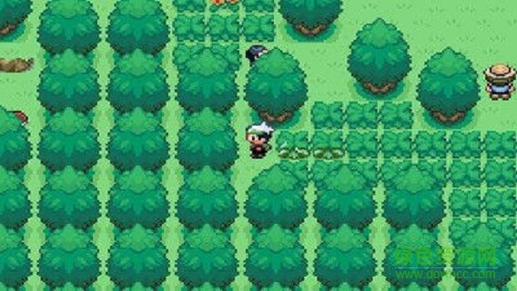 口袋妖怪永恒之沫下载