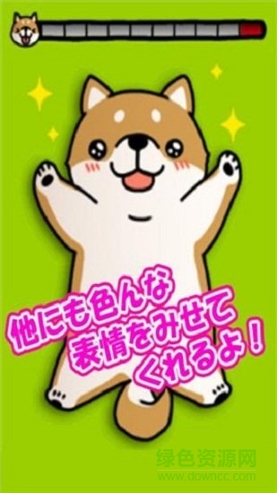 治愈萌柴犬手游下载