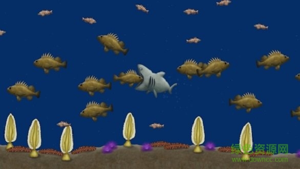 永远的美味星球免费下载