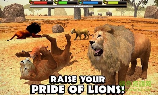 狮子模拟器2无限生命技能版
